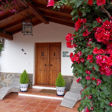 Bed & Breakfast | Guest House Casa Don Carlos Альхаурин-эль-Гранде Экстерьер фото