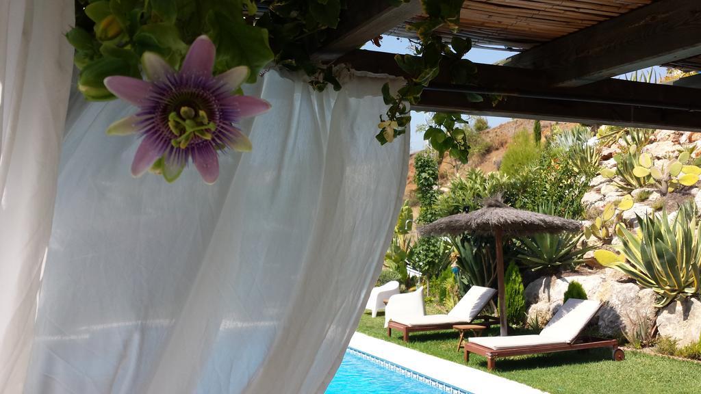 Bed & Breakfast | Guest House Casa Don Carlos Альхаурин-эль-Гранде Экстерьер фото